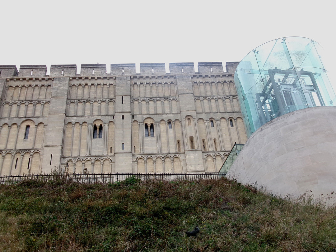 Norwich Castle Museum & Art Gallery-诺威奇必去景点