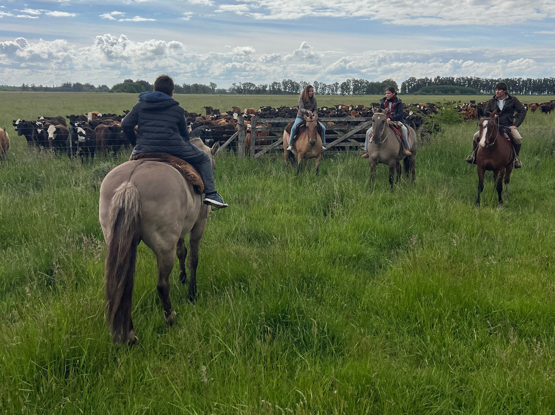 Estancia La Tomasa主图