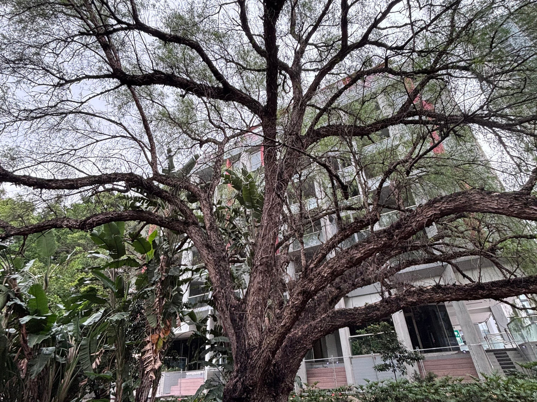 公园号角酒店主图