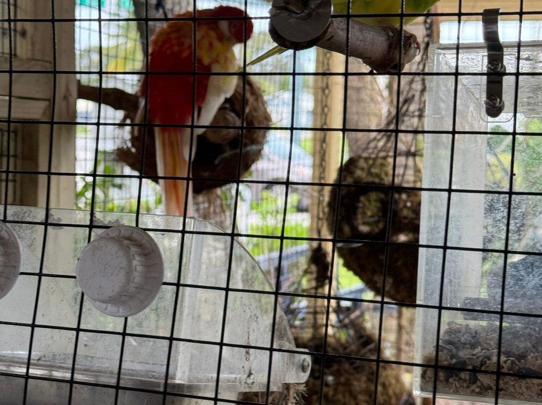 Barefoot Mailman Inn & Suites, Lantana, West Palm Beach, South Florida主图