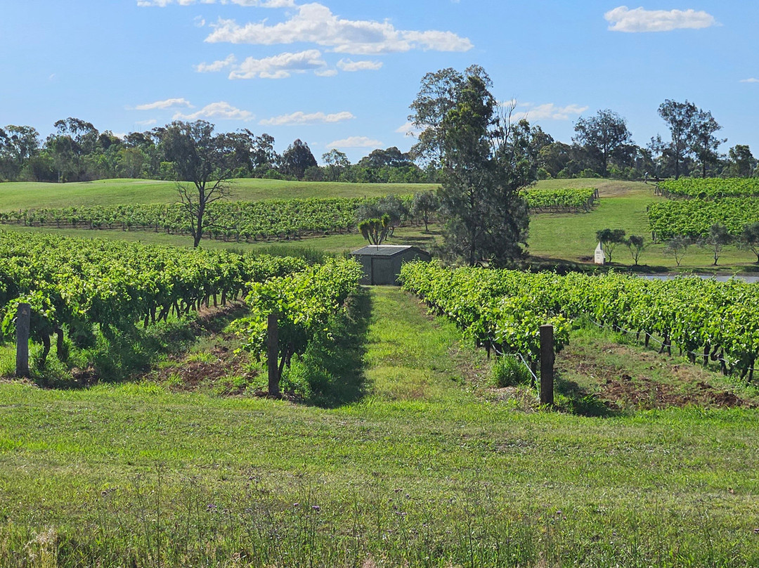 Savannah Estate Broke Road-波高尔宾必去景点