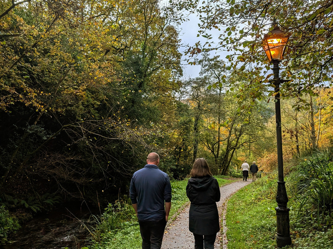 PRO Transfers Dublin-都柏林必去景点