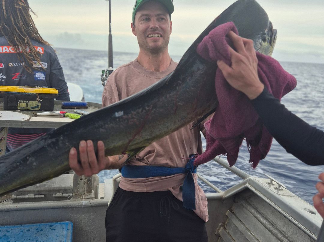 Ocean & Island Tours-辛加东卡必去景点