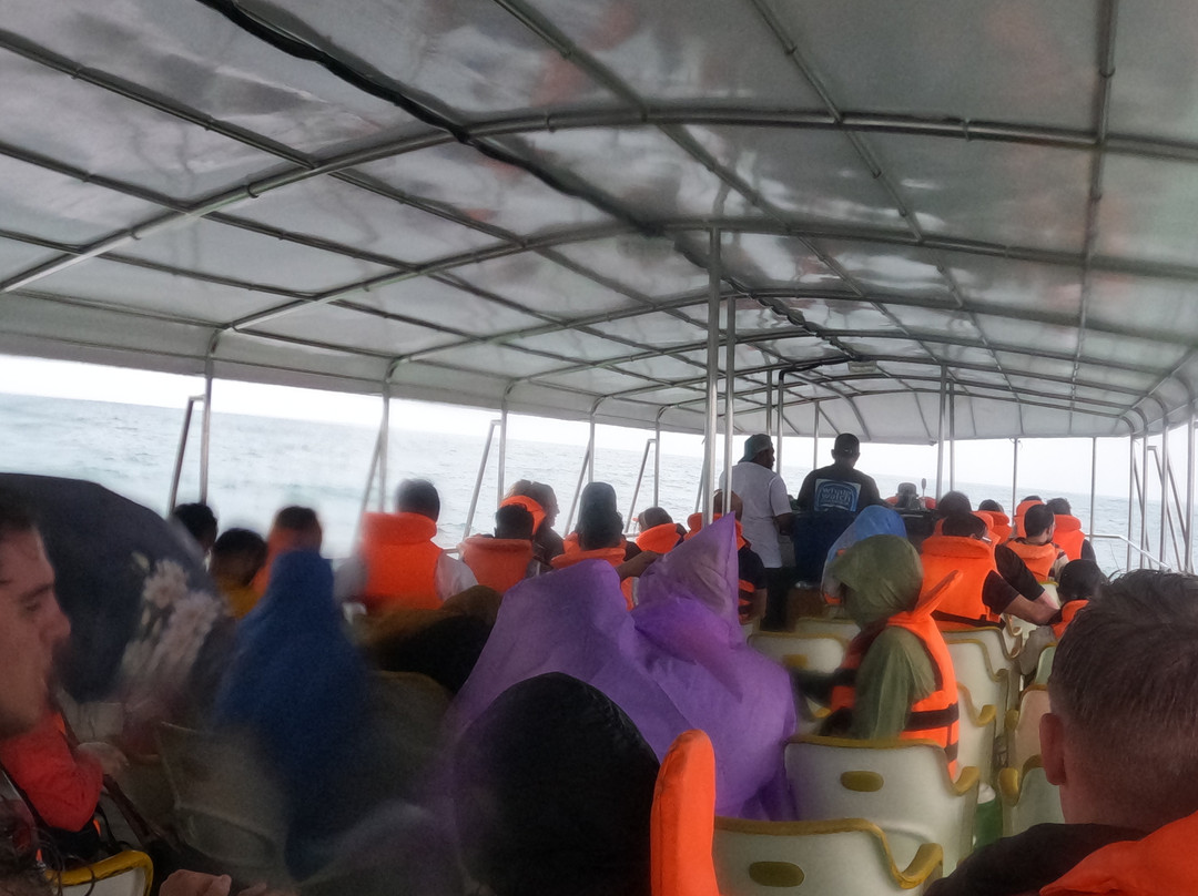 Whale Watching Mirissa with Geeth-美蕊沙必去景点