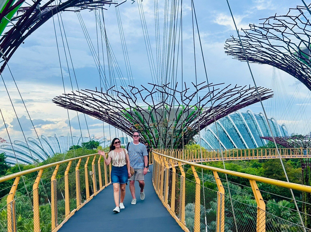 擎天树丛-新加坡必去景点