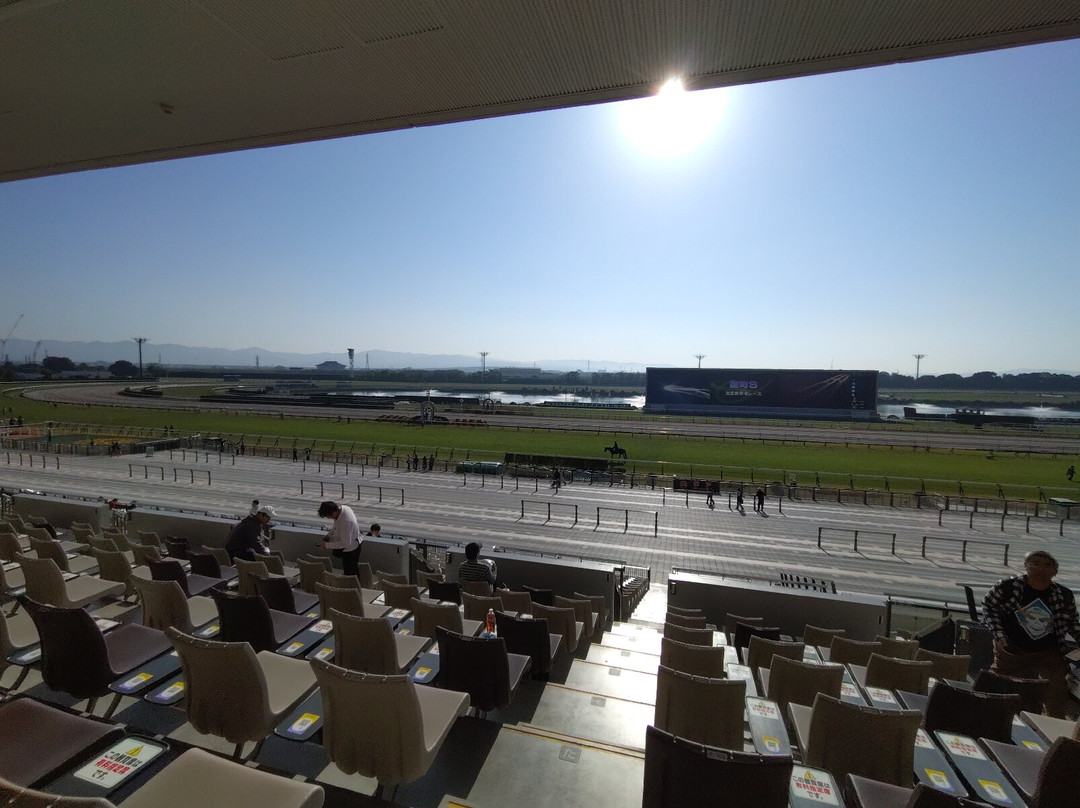 Kyoto Racecourse-京都市必去景点
