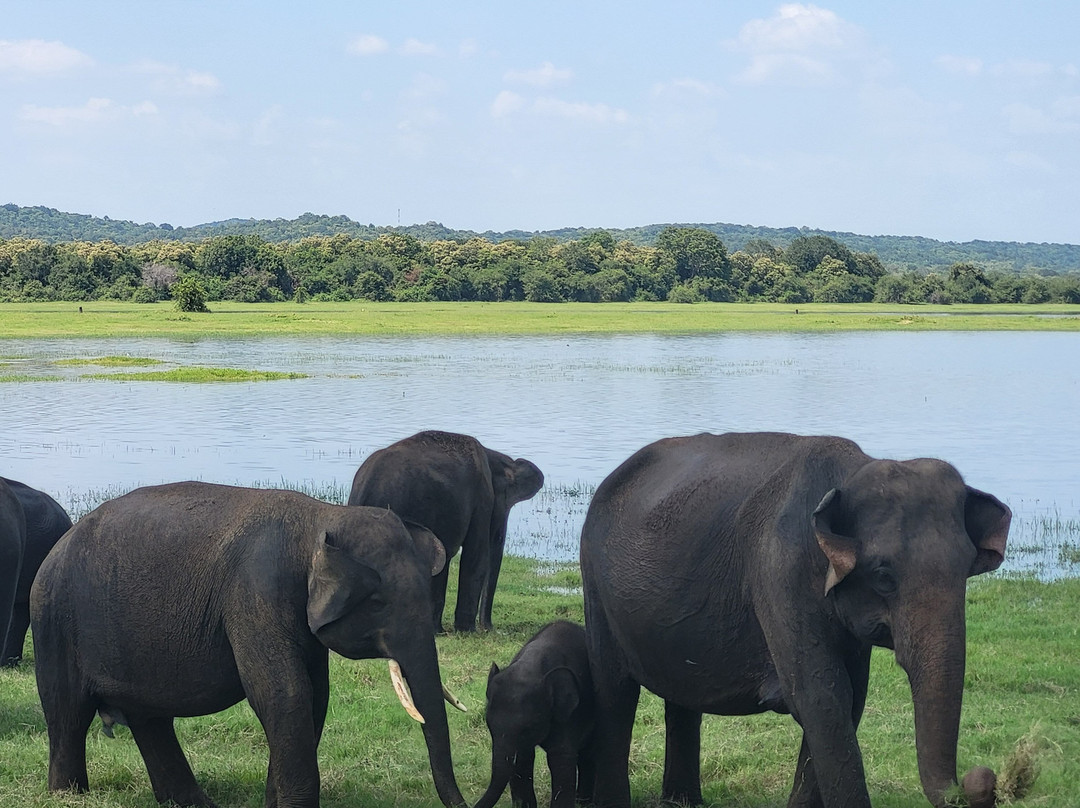 Holy India Travels Pvt Ltd-加兹阿巴德必去景点