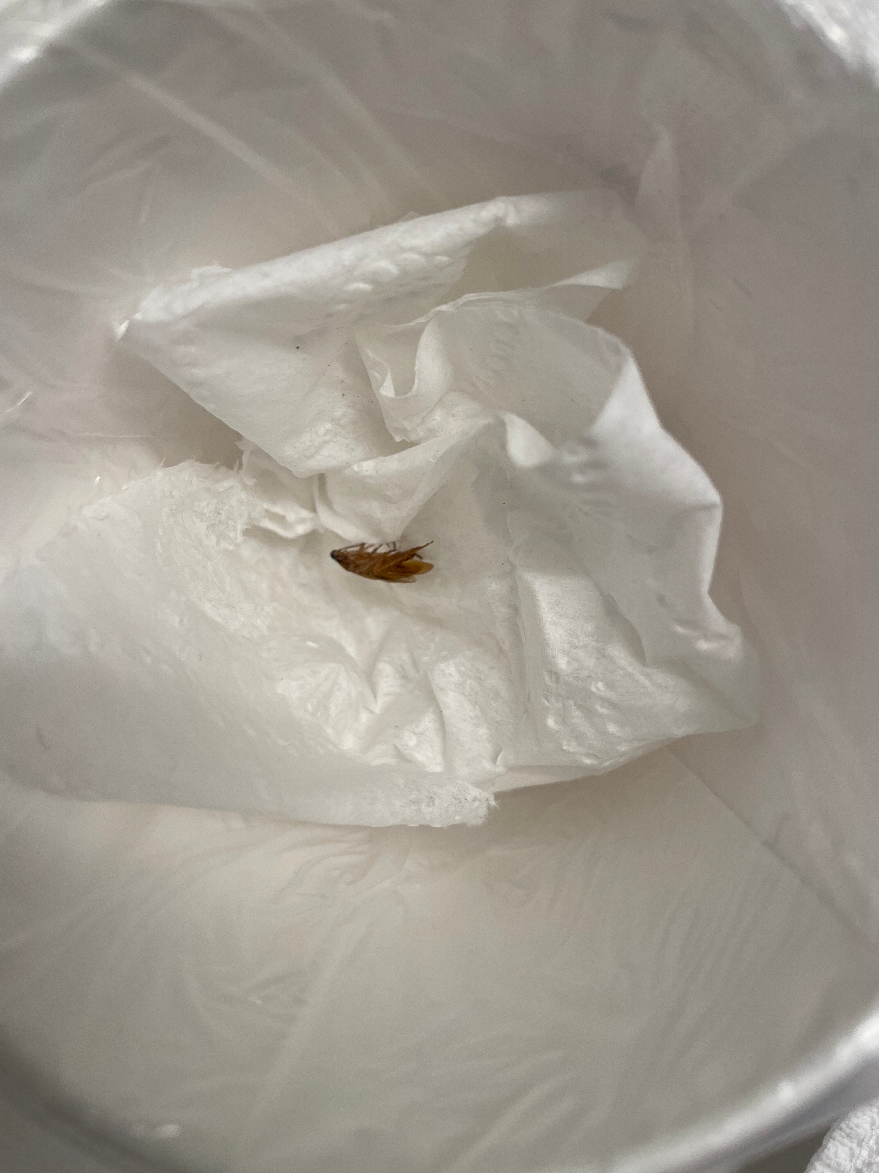 Spark By Hilton Port Wentworth Savannah-官方