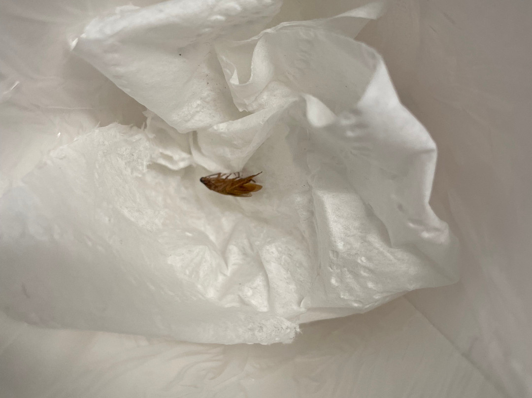 Spark By Hilton Port Wentworth Savannah主图