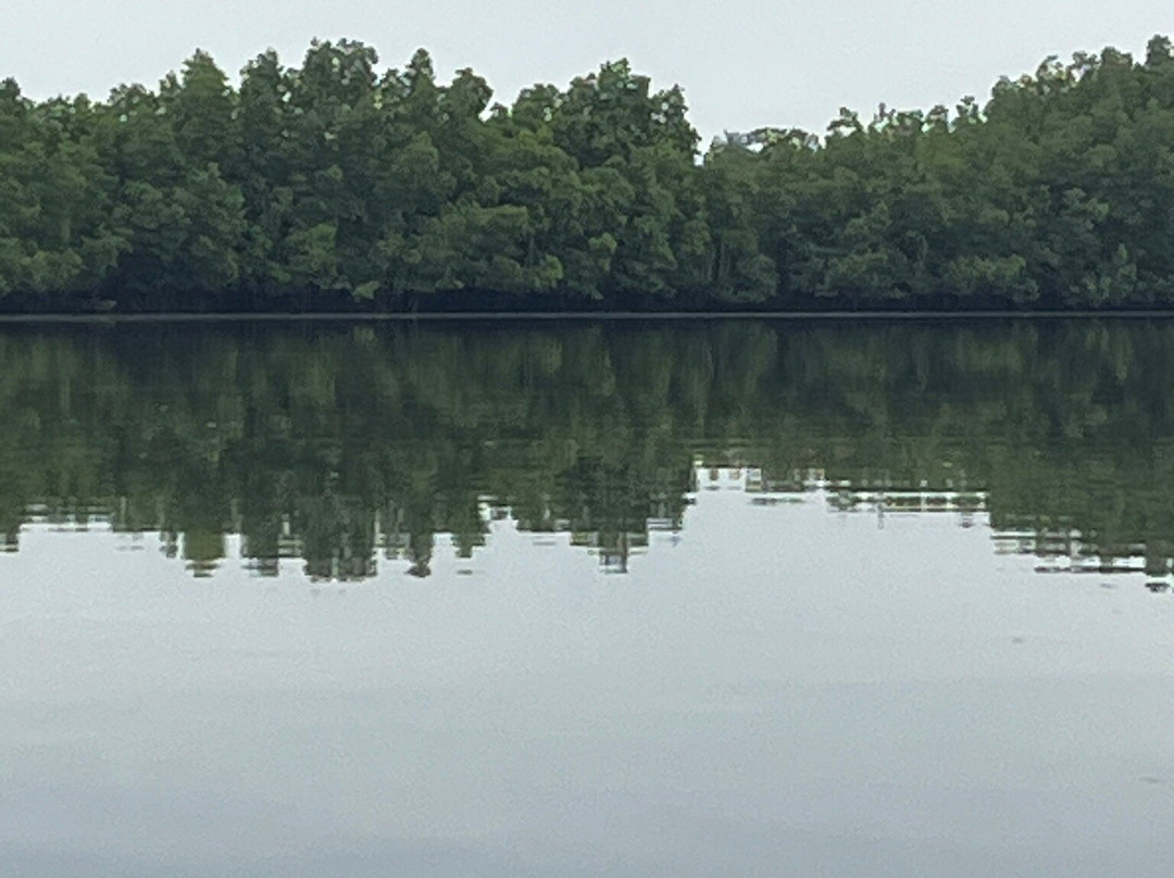 Makasutu Culture Forest-塞瑞库达必去景点