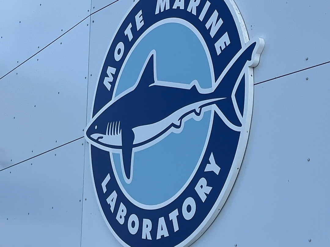 Mote Marine Laboratory & Aquarium-萨拉索塔必去景点