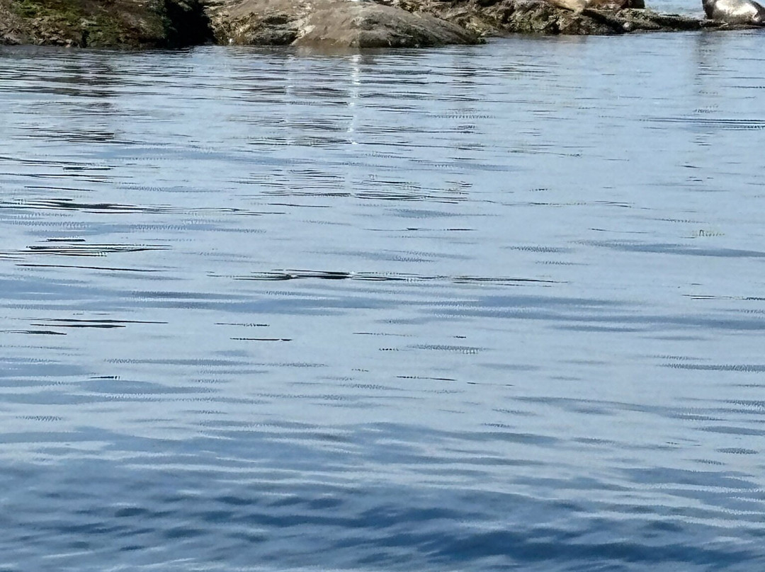 Terracentric Coastal Adventures-Lund必去景点