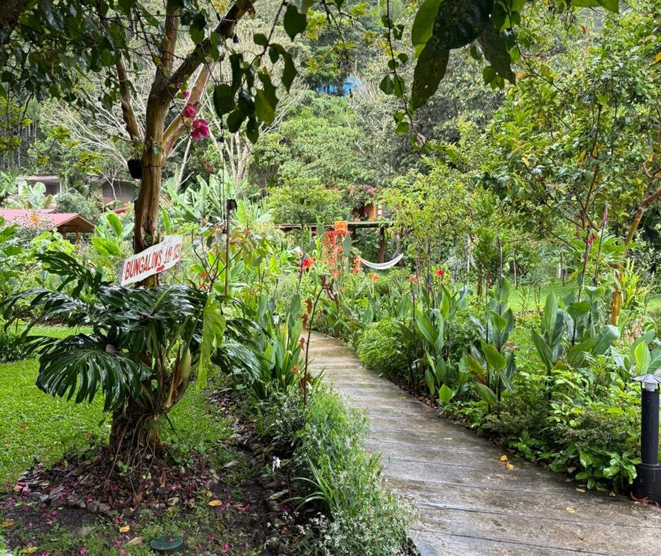 Carolina Egg Gasthaus主图