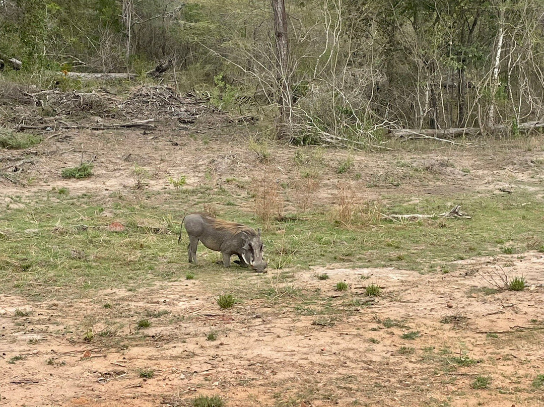 CONNECT AFRICAN SAFARIS-Dar es Salaam必去景点