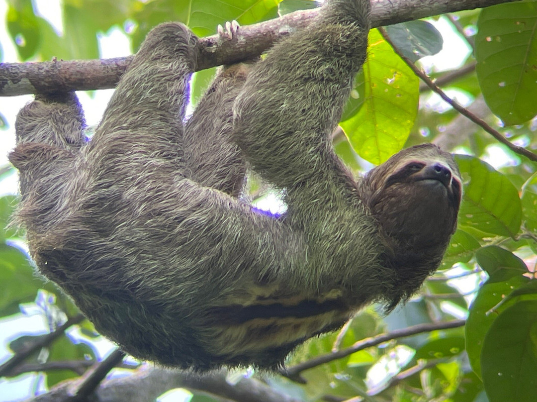 ChrisDiving, dive center Playa Potrero-波特雷罗必去景点