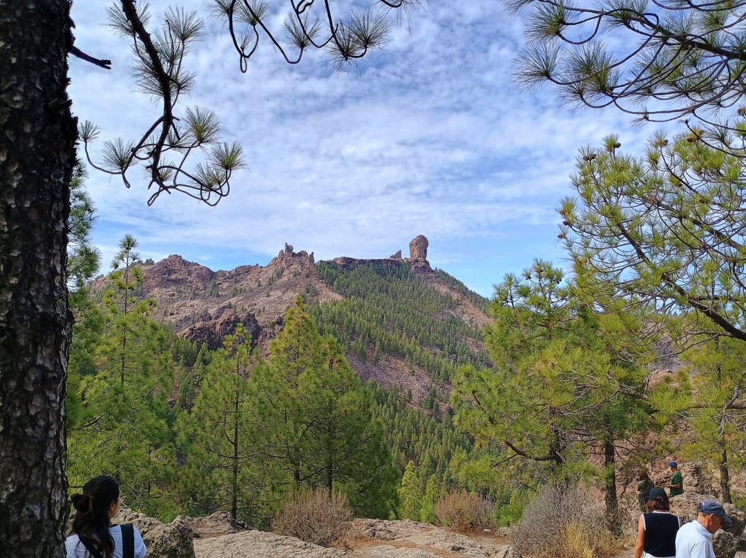 Trip Gran Canaria-大加那利岛拉斯帕尔马斯必去景点