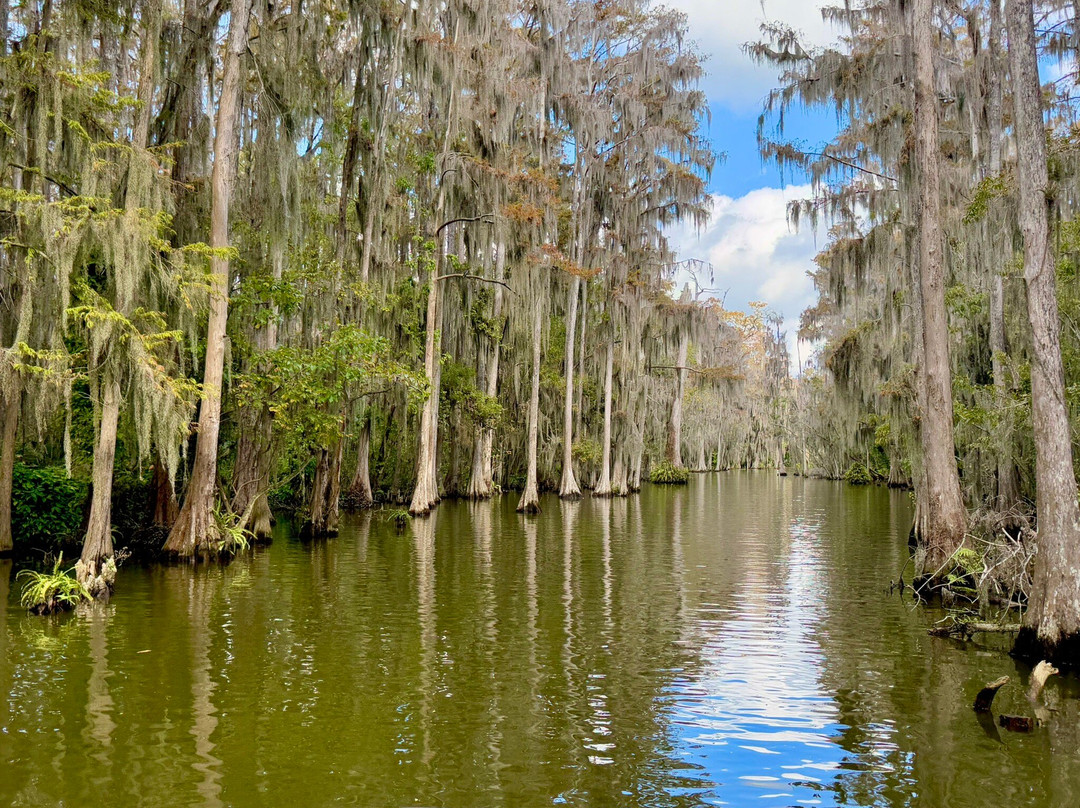Mount Dora Boating Center & Marina-Mount Dora必去景点