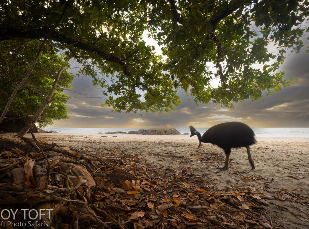 Unearth Adventure-拉布拉多必去景点