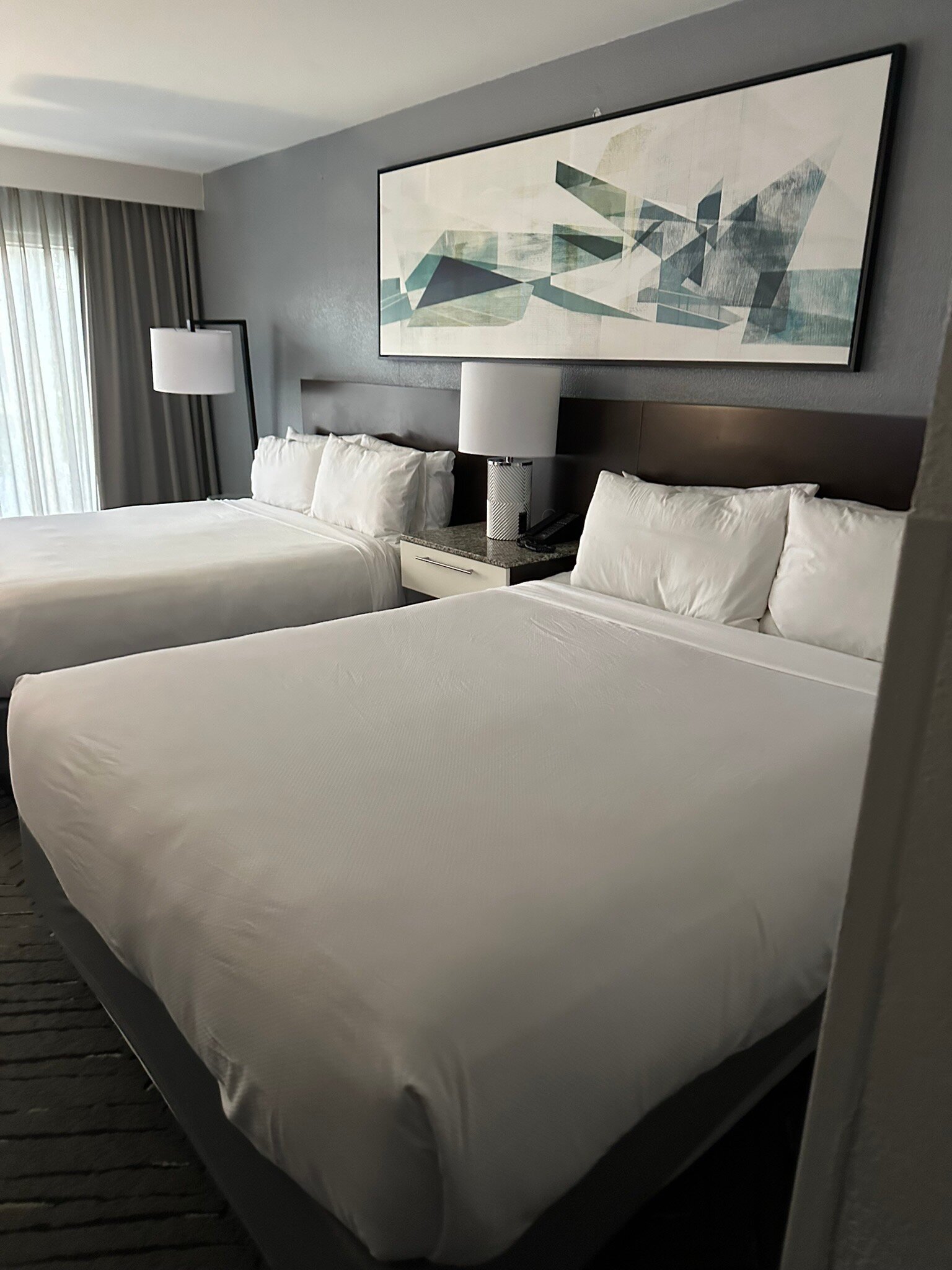 奥兰多庆典丽笙度假酒店-官方