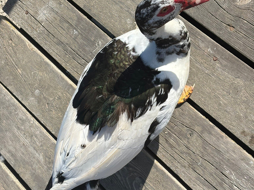 Lake Agias-Agia必去景点