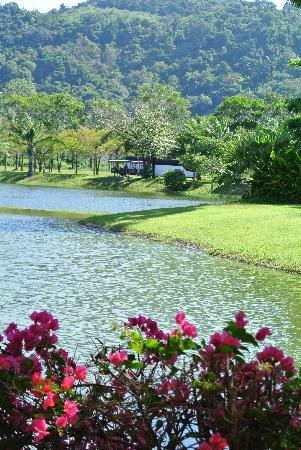 希尔顿阿卡迪亚度假村主图