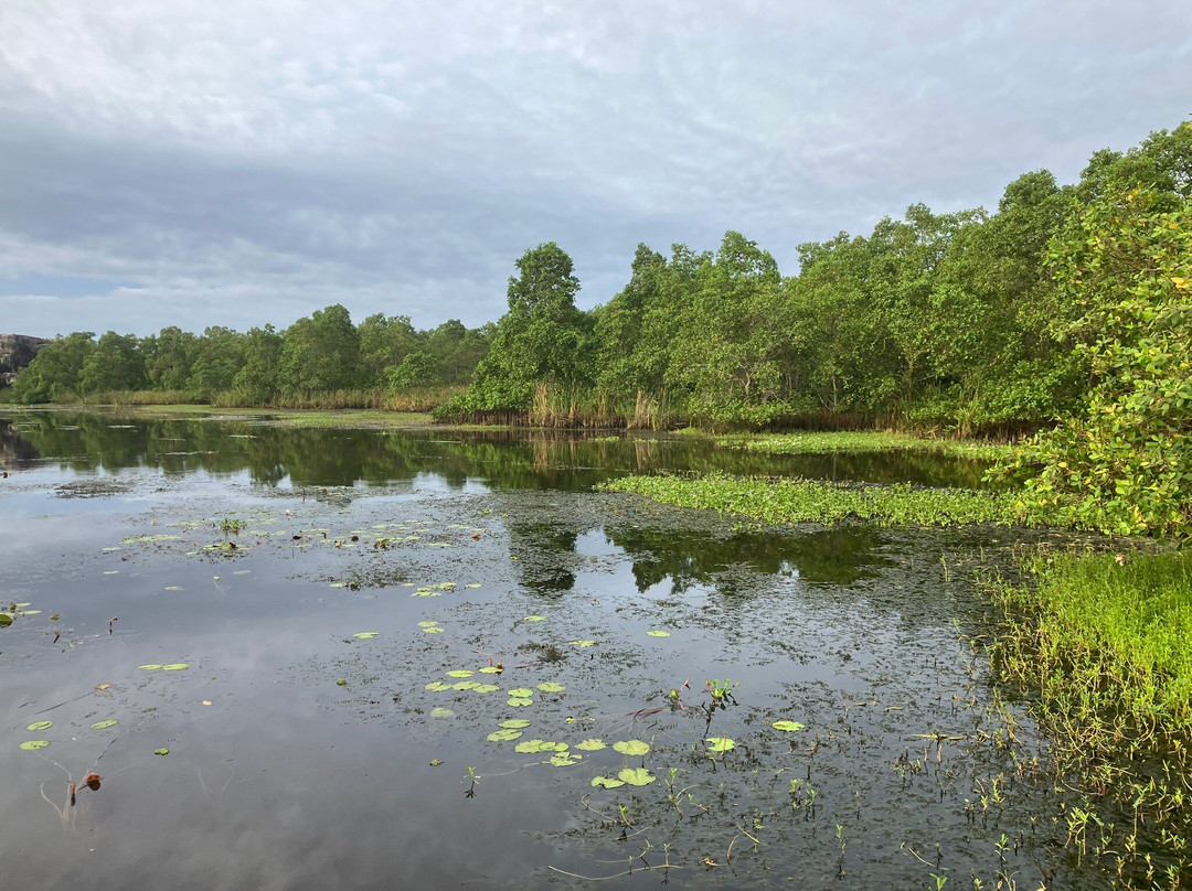 Kalametiya Lagoon Bird Sanctuary & Wetland Park-Kalametiya必去景点