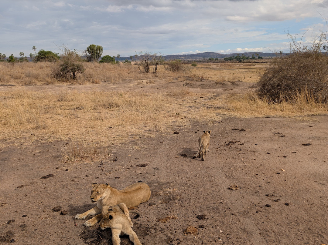 Mukuta Travels & Tours-Iringa必去景点