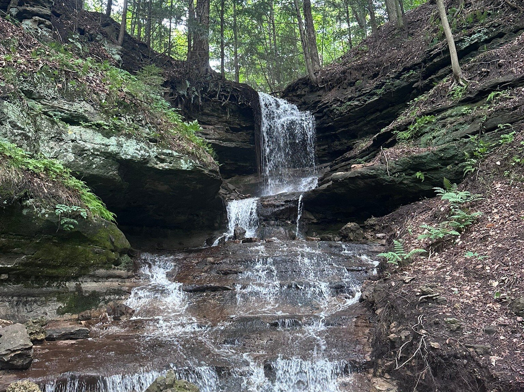Horseshoe Falls-缪尼辛必去景点