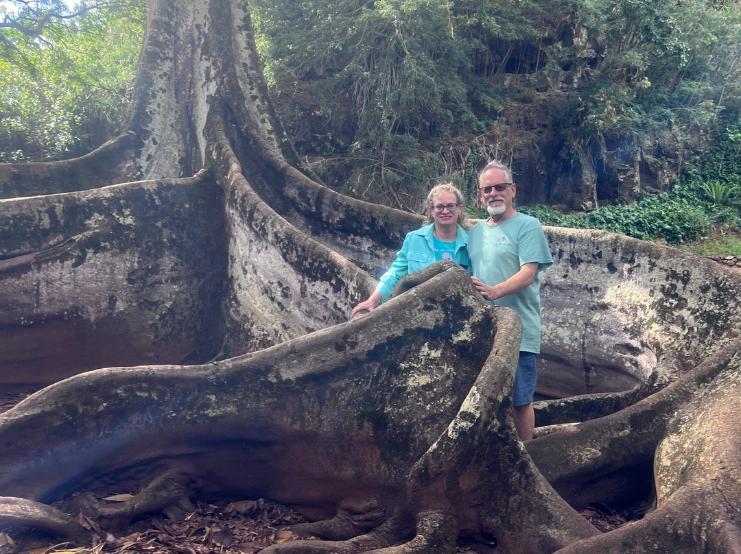 McBryde Garden - National Tropical Botanical Garden-可爱岛必去景点
