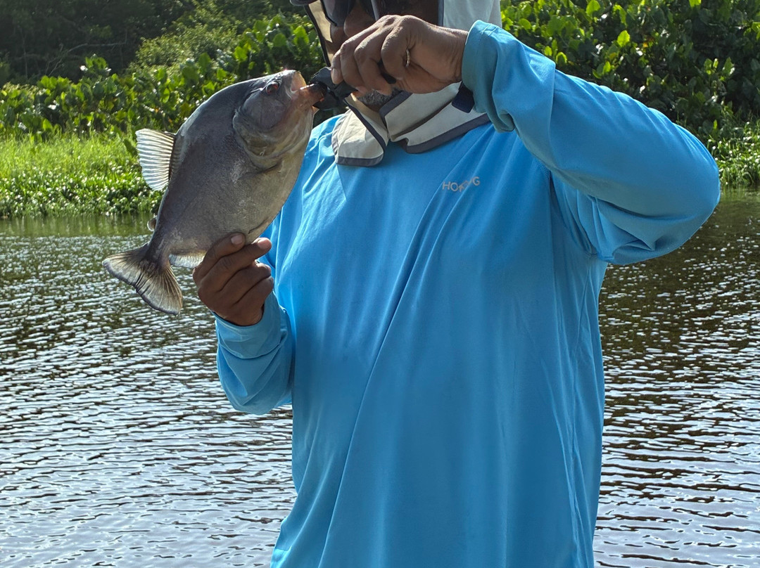 Blackwater Adventures-乔治城必去景点