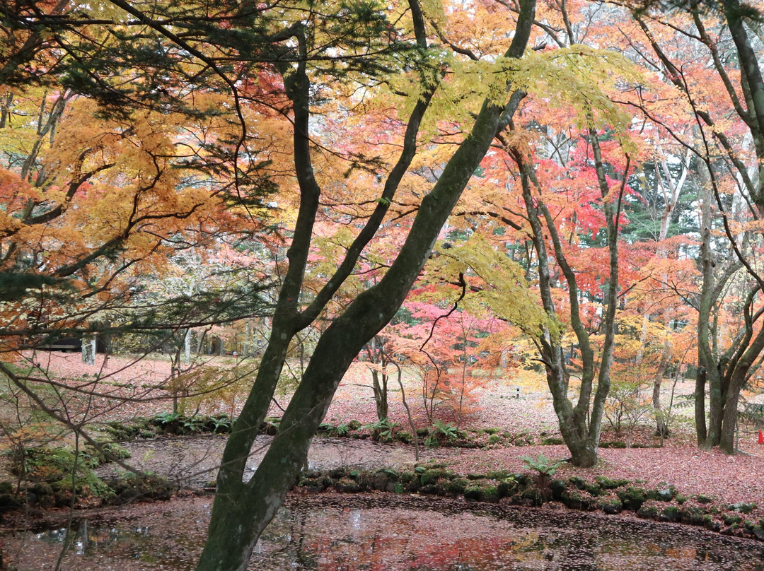 云场池-轻井泽町必去景点