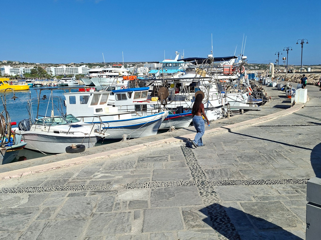 Ayia Napa Harbour-阿依纳帕必去景点