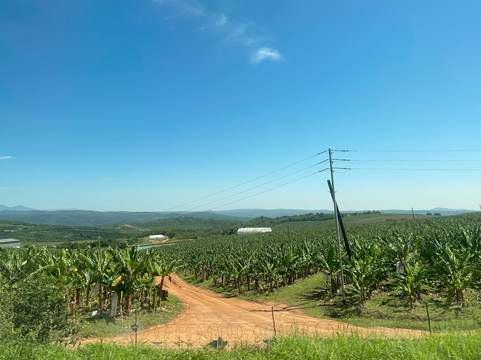 Rhythm Africa Tours and Safaris-白河必去景点