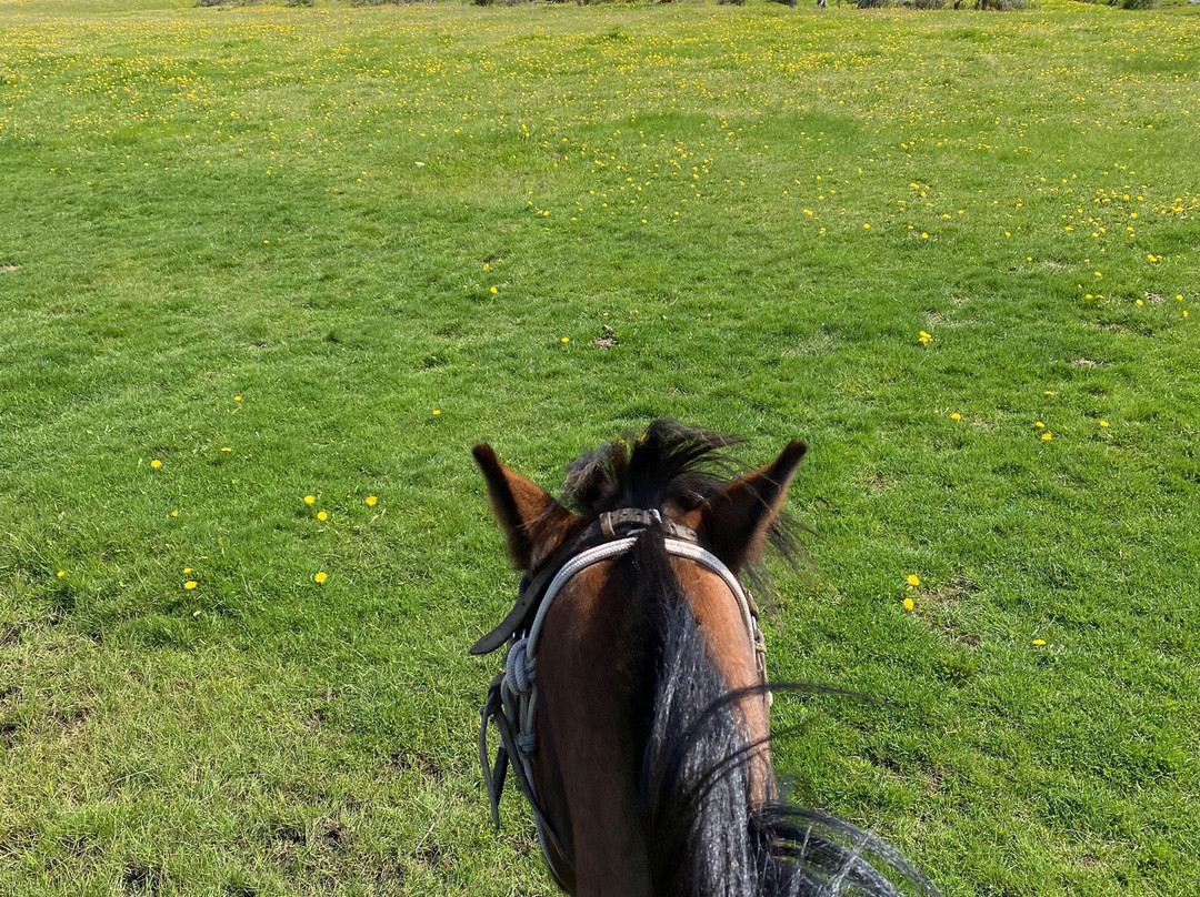 Galope Austral-Torres del Paine必去景点