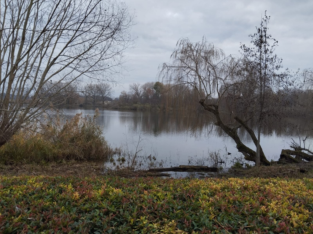 Castellaro Lagusello-Monzambano必去景点