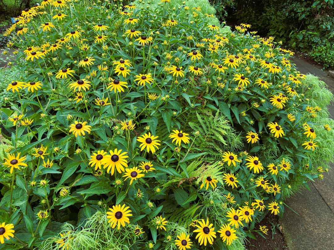 Yokokawa Service Area Outbound-安中市必去景点