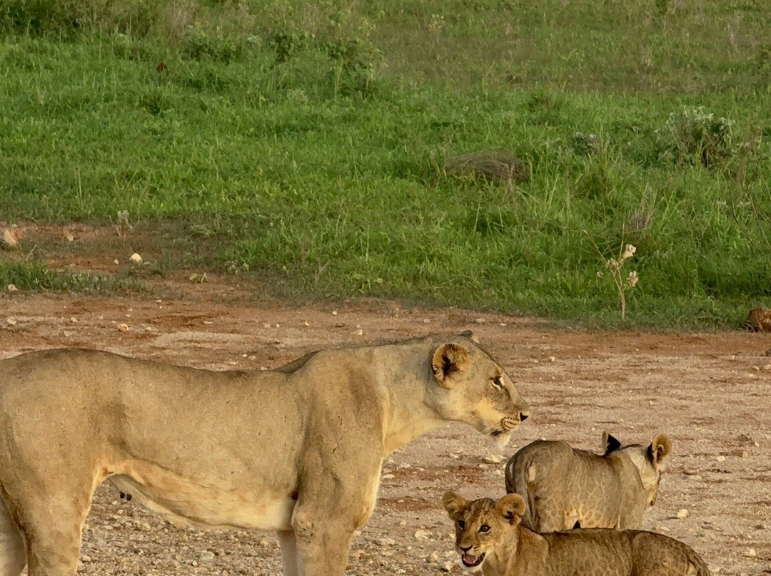 Discovery Kenya con Fragola-瓦塔木必去景点