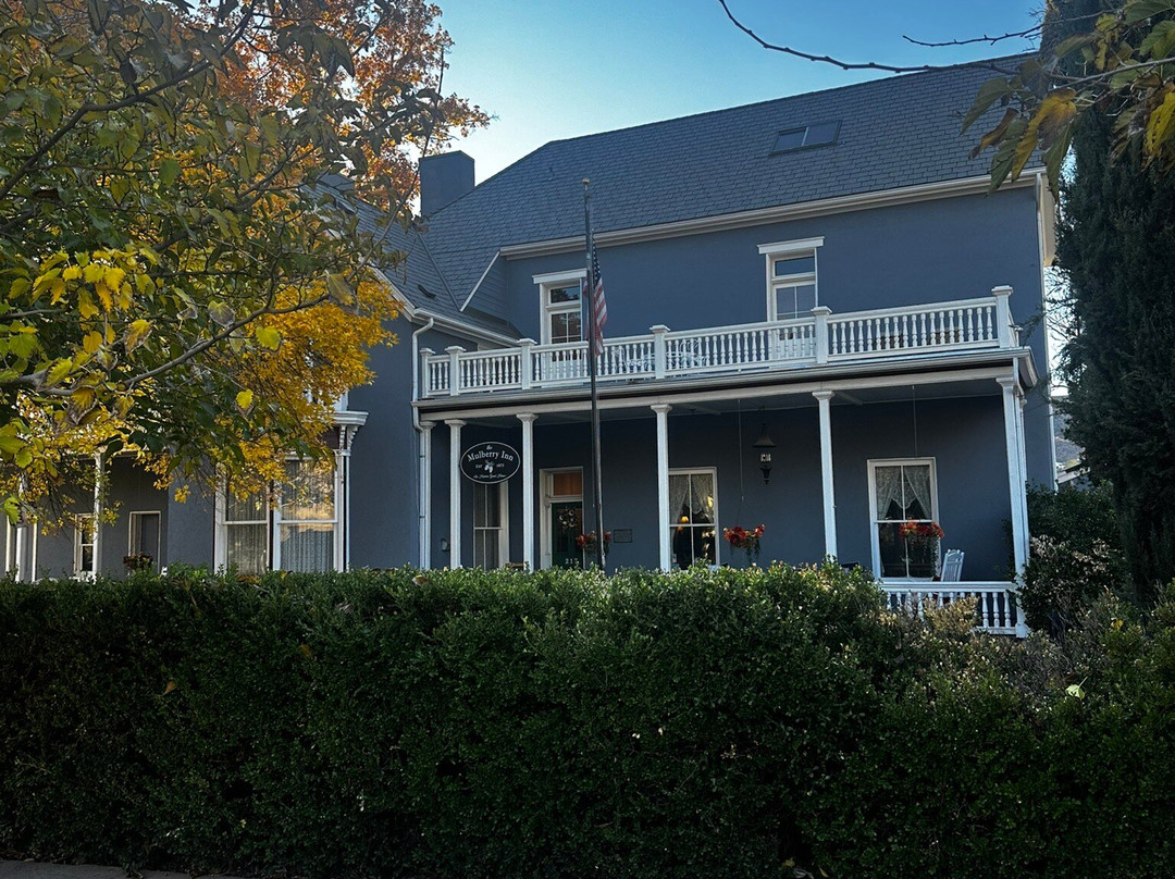 The Mulberry Inn主图