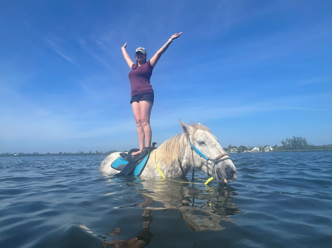 Florida Beach Horses-布雷登顿必去景点