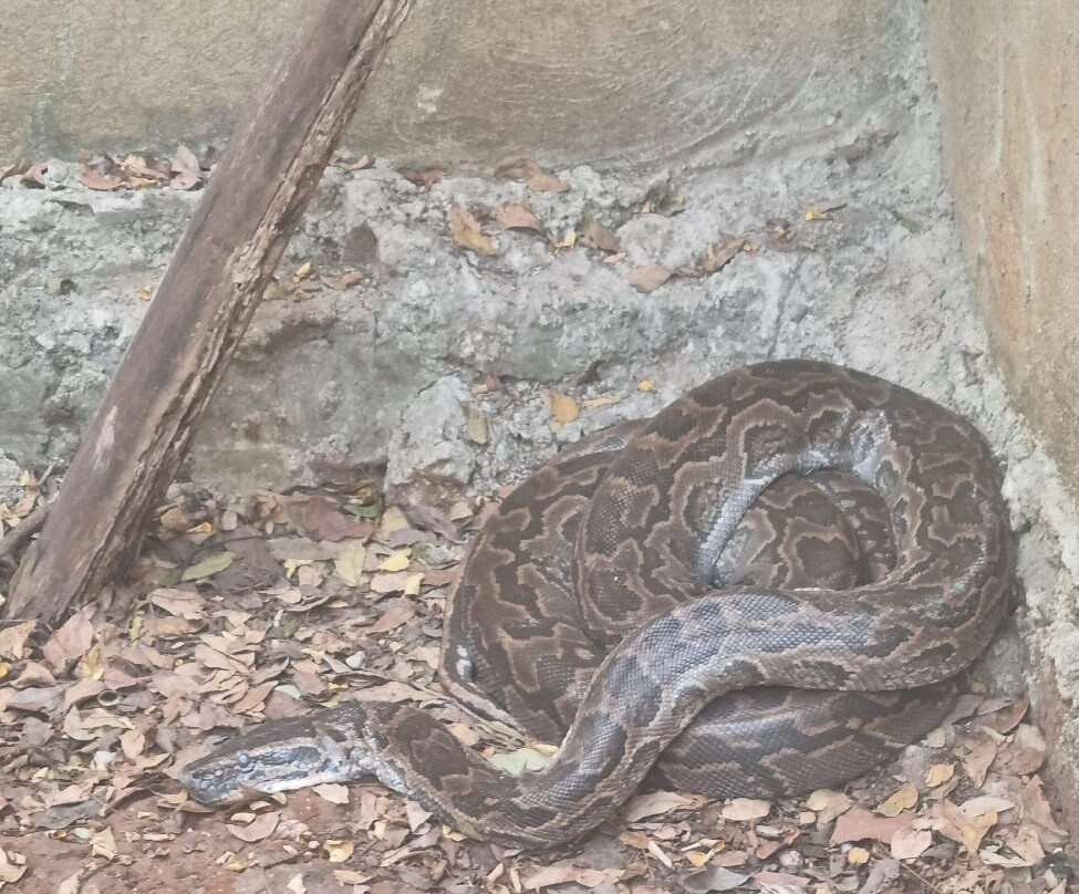 Zanzibar Kilosas Conservation-孥归必去景点