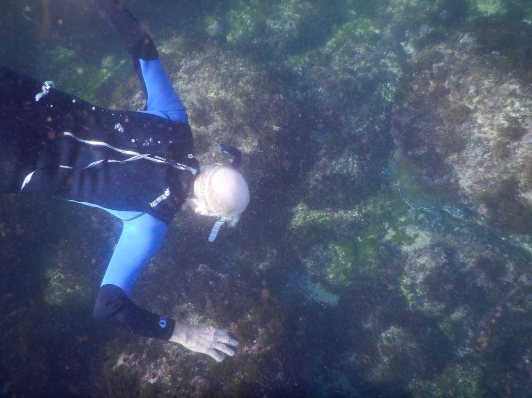 Watersports Guru-Kingscliff必去景点