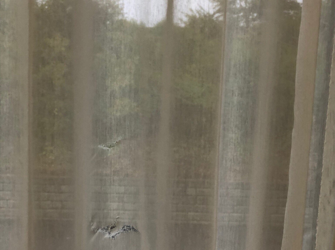 贝斯特韦斯特普勒斯北坎通旅馆&套房酒店主图