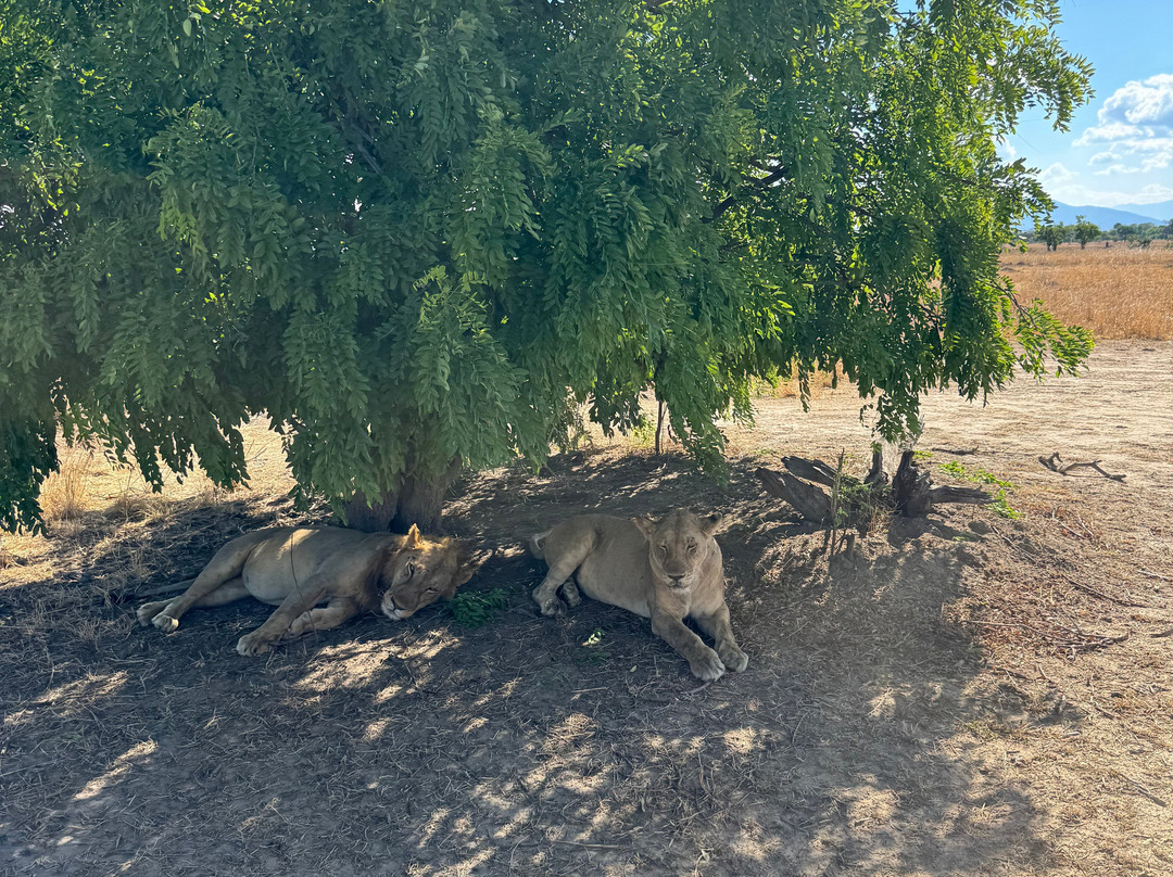 Passionate Safaris-Dar es Salaam必去景点