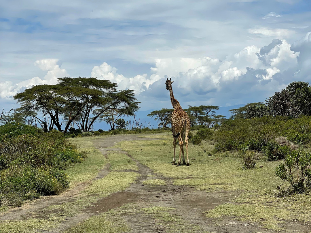 Endless Thrill Adventures-内罗毕必去景点