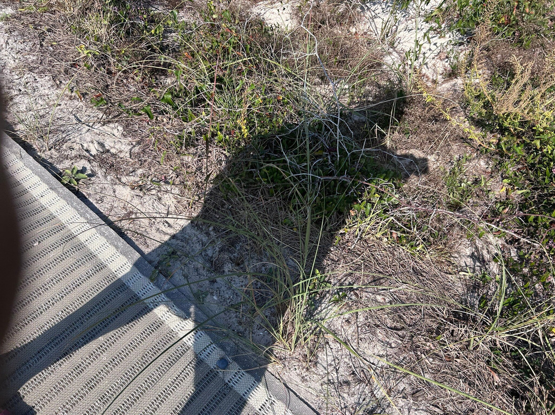 Beachside Motel主图