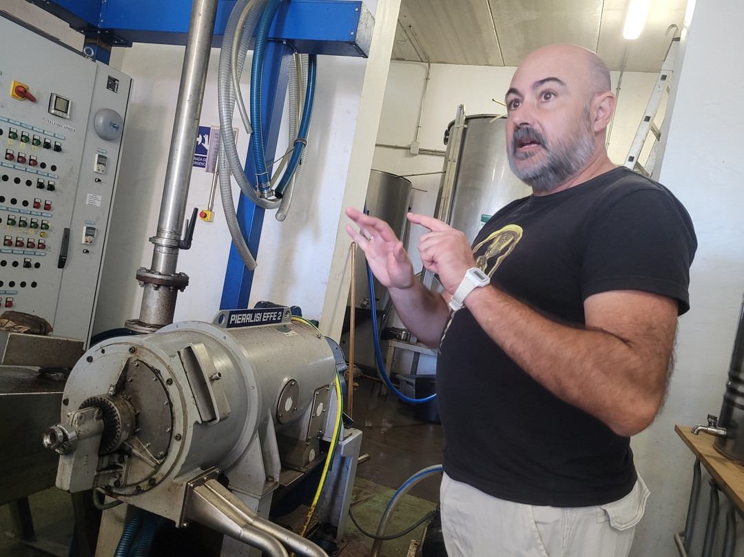 Sancha Pérez Bodega Almazara-Conil de la Frontera必去景点