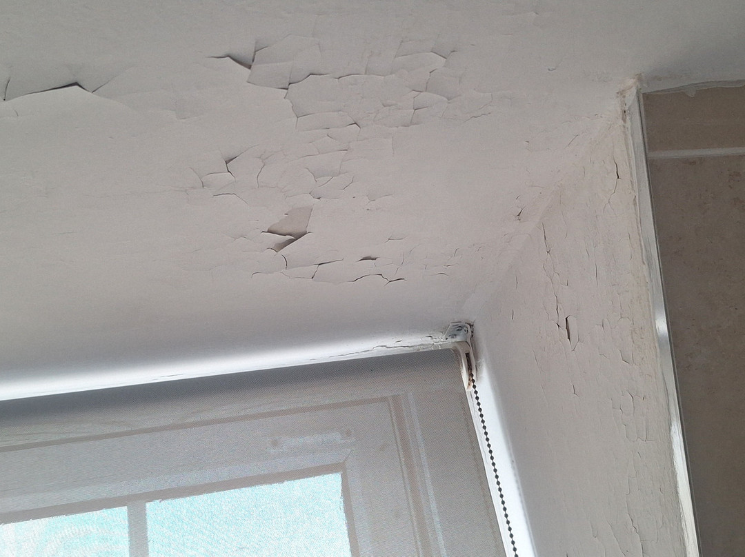 Beachcombers Hotel主图