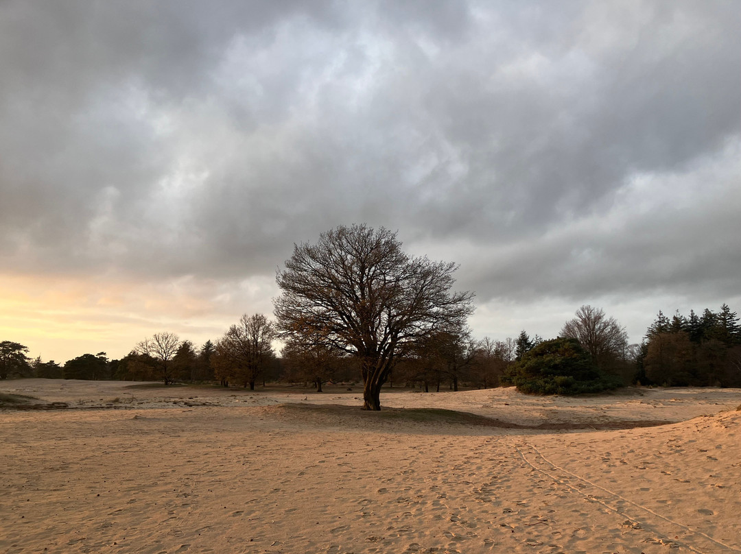 Nationaal Park Drents-Friese Wold-Appelscha必去景点