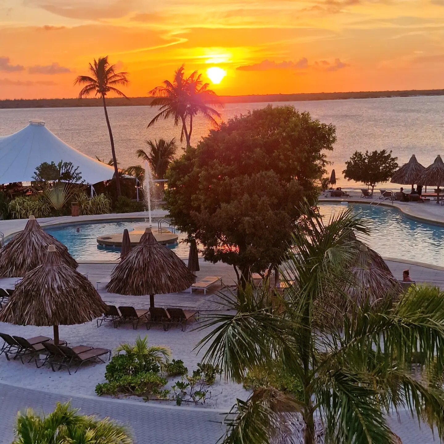 Chogogo Dive & Beach Resort Bonaire-官方