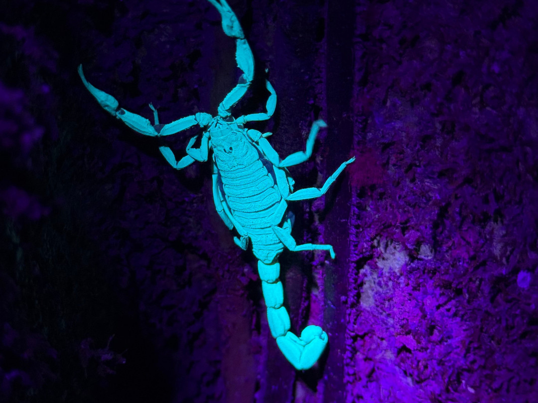 Finca Modelo Ecologica-蒙特沃德必去景点